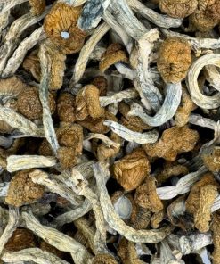 Jedi Mind Fuck Magic Mushrooms